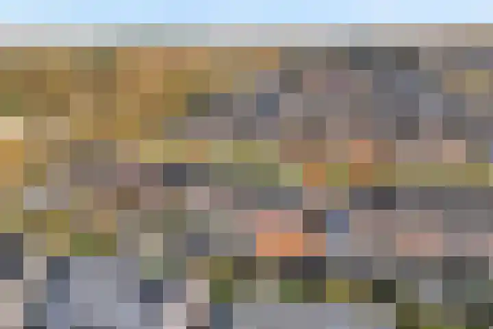 Molenaarses 47 Dalfsen thumbnail 31