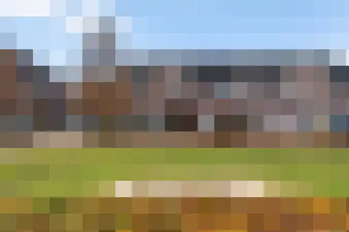 Molenaarses 47 Dalfsen thumbnail 32