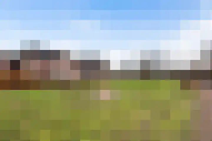 Molenaarses 47 Dalfsen thumbnail 34
