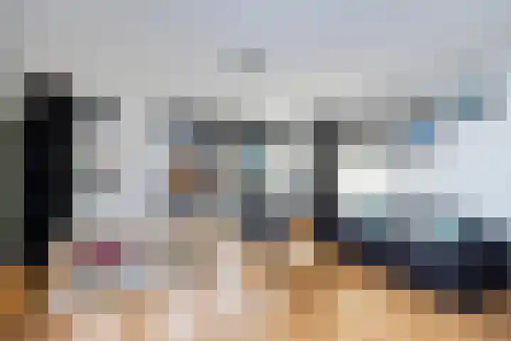Molenaarses 47 Dalfsen thumbnail 5