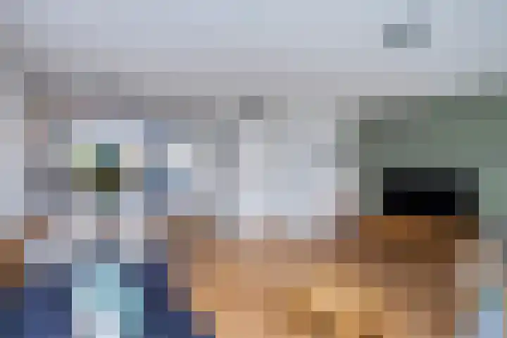 Molenaarses 47 Dalfsen thumbnail 8