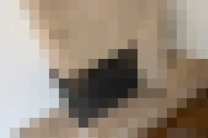 Molenaarshoek 8 Bunnik thumbnail 15