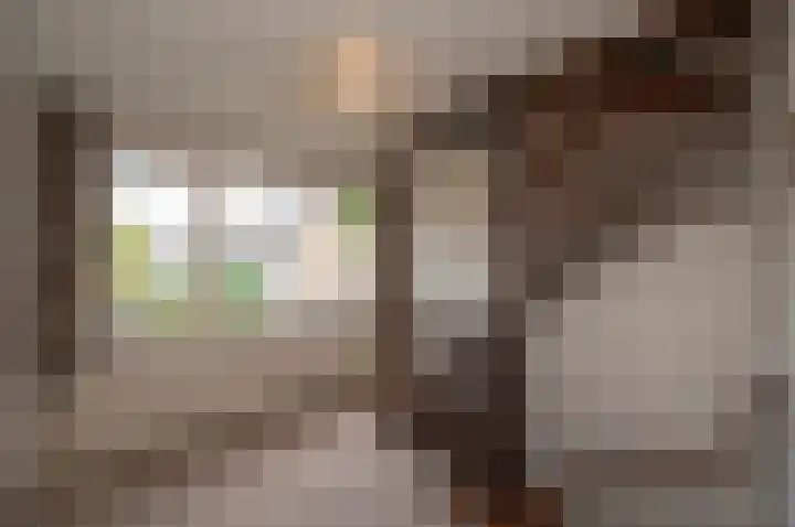 Molenaarshoek 8 Bunnik thumbnail 18