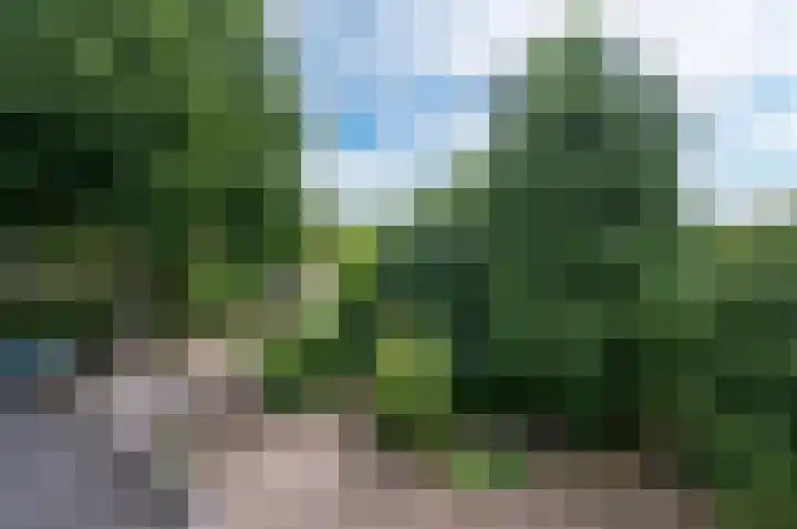 Molenaarshoek 8 Bunnik thumbnail 23