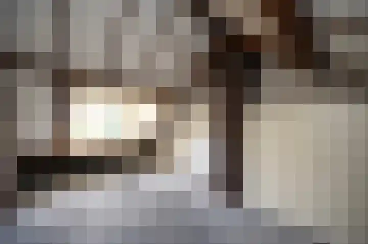Molenaarshoek 8 Bunnik thumbnail 30