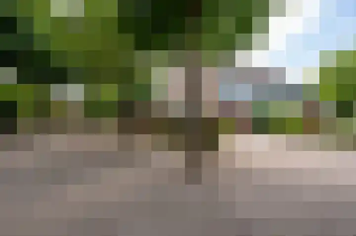 Molenaarshoek 8 Bunnik thumbnail 6