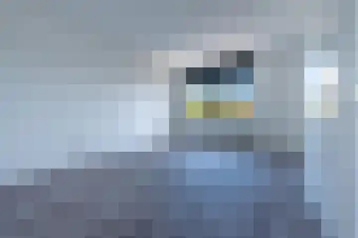 Molenaarshof 15 Heerlen thumbnail 21