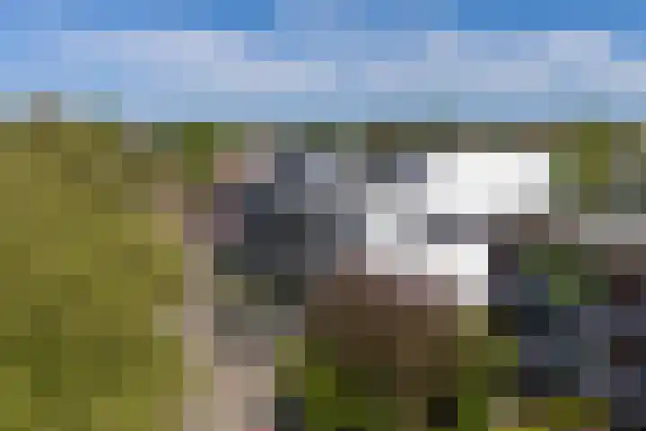Molenaarshof 15 Heerlen thumbnail 28