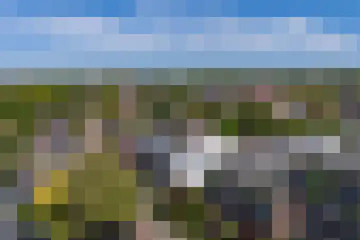 Molenaarshof 15 Heerlen thumbnail 29