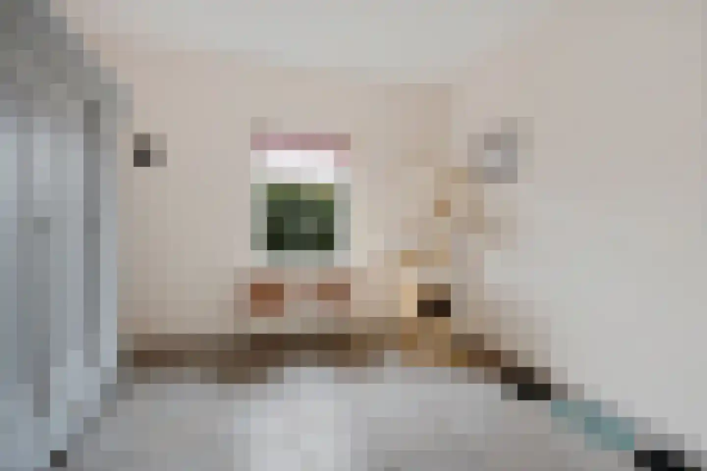 Molenaarshof 8 Nieuw-Dordrecht thumbnail 24