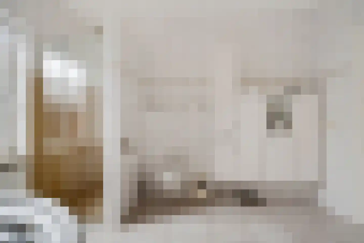 Molenaarshof 8 Nieuw-Dordrecht thumbnail 30