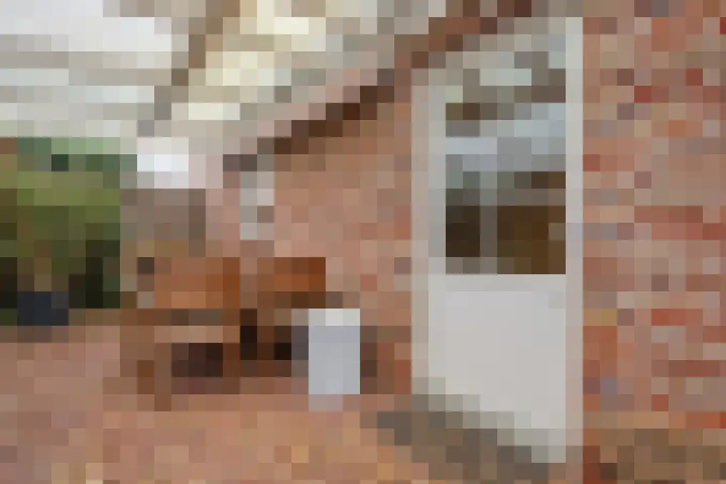 Molenaarshof 8 Nieuw-Dordrecht thumbnail 35