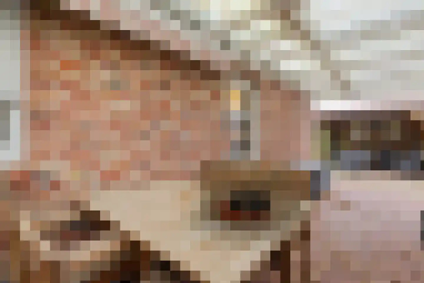 Molenaarshof 8 Nieuw-Dordrecht thumbnail 36