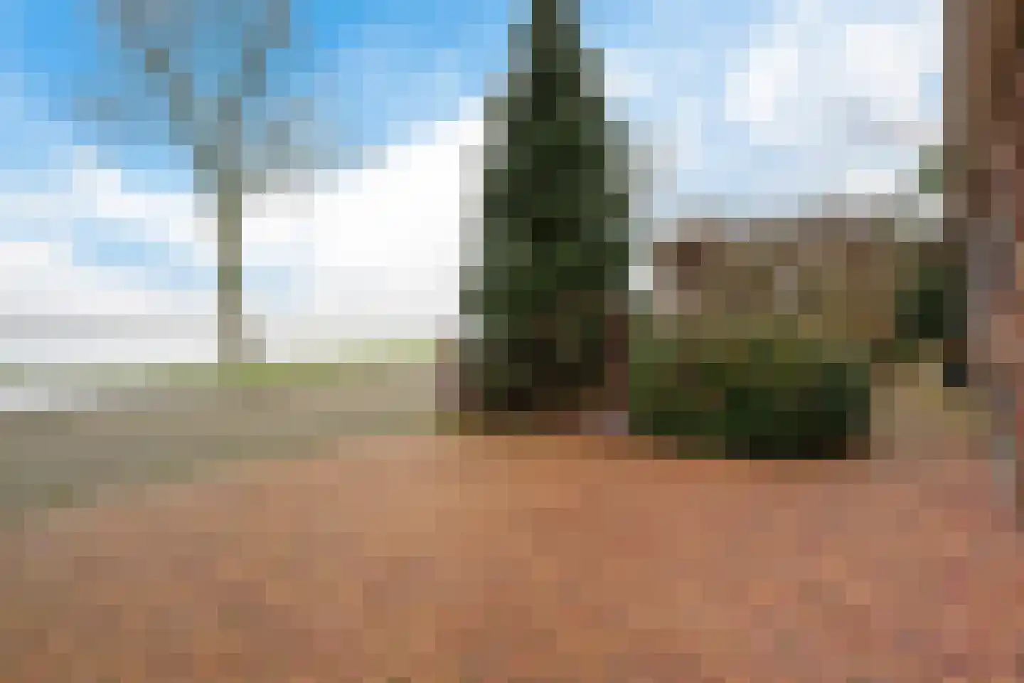 Molenaarshof 8 Nieuw-Dordrecht thumbnail 37