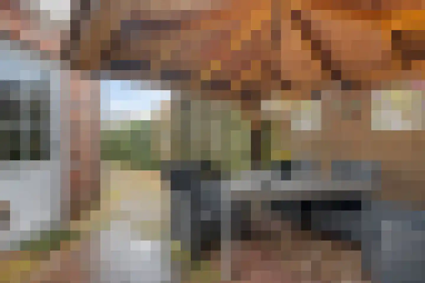 Molenaarshof 8 Nieuw-Dordrecht thumbnail 39
