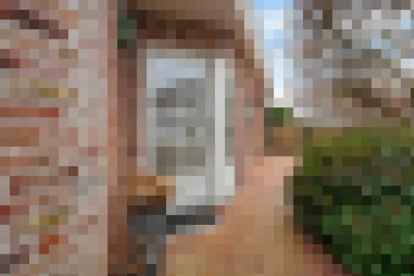 Molenaarshof 8 Nieuw-Dordrecht thumbnail 4