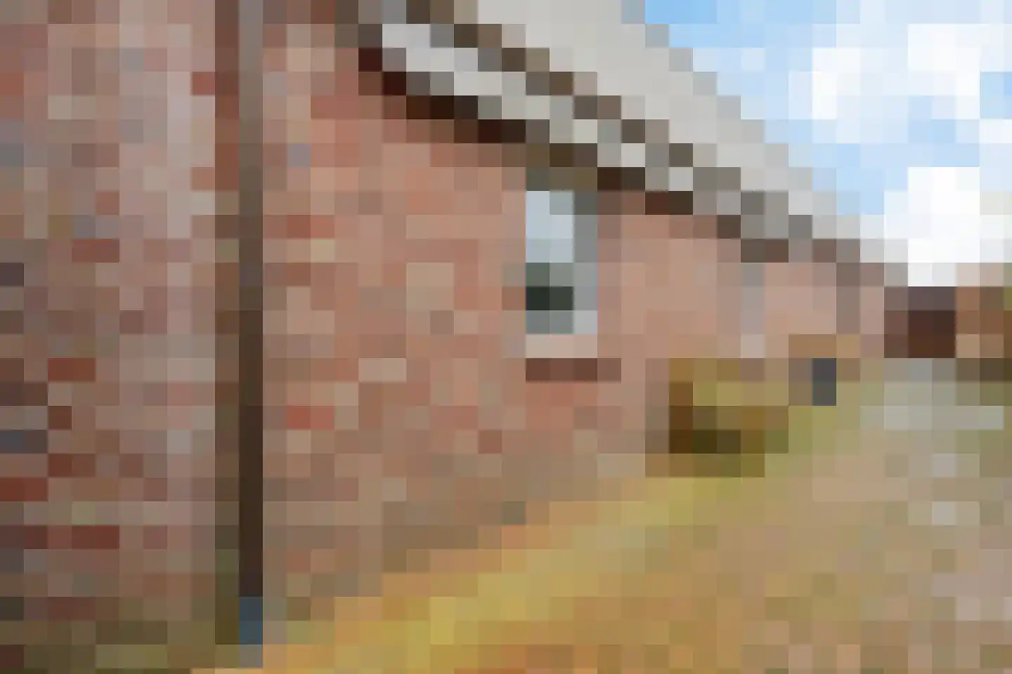 Molenaarshof 8 Nieuw-Dordrecht thumbnail 40