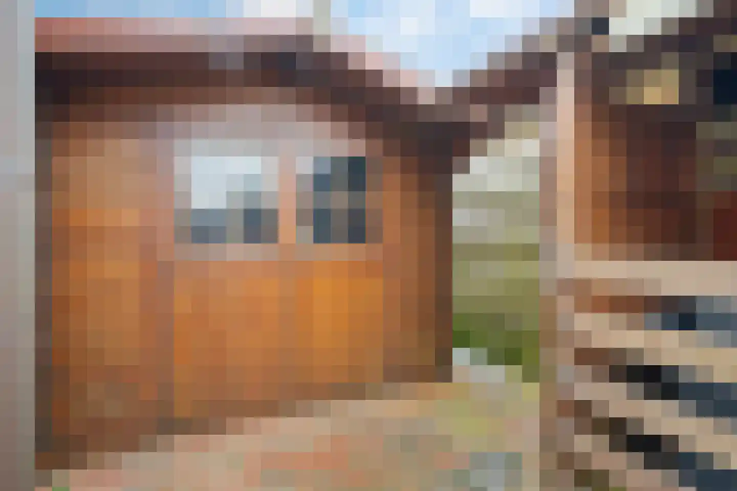Molenaarshof 8 Nieuw-Dordrecht thumbnail 41