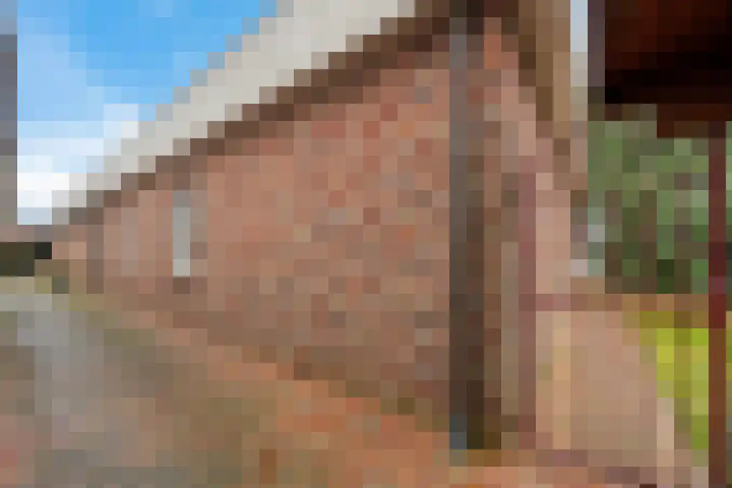 Molenaarshof 8 Nieuw-Dordrecht thumbnail 43