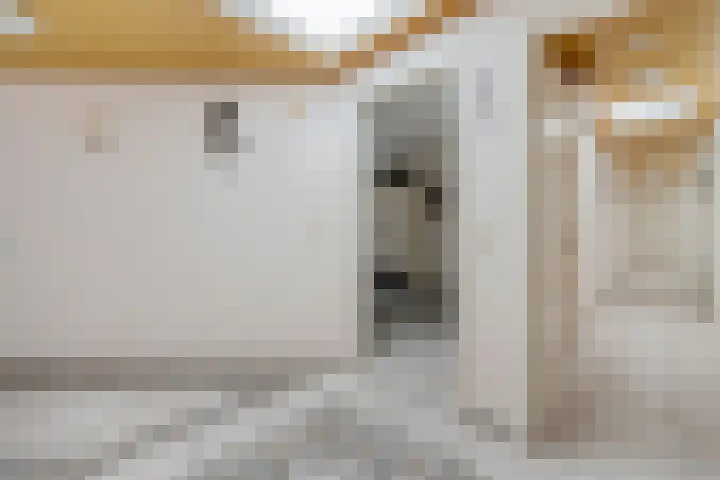Molenaarshof 8 Nieuw-Dordrecht thumbnail 5