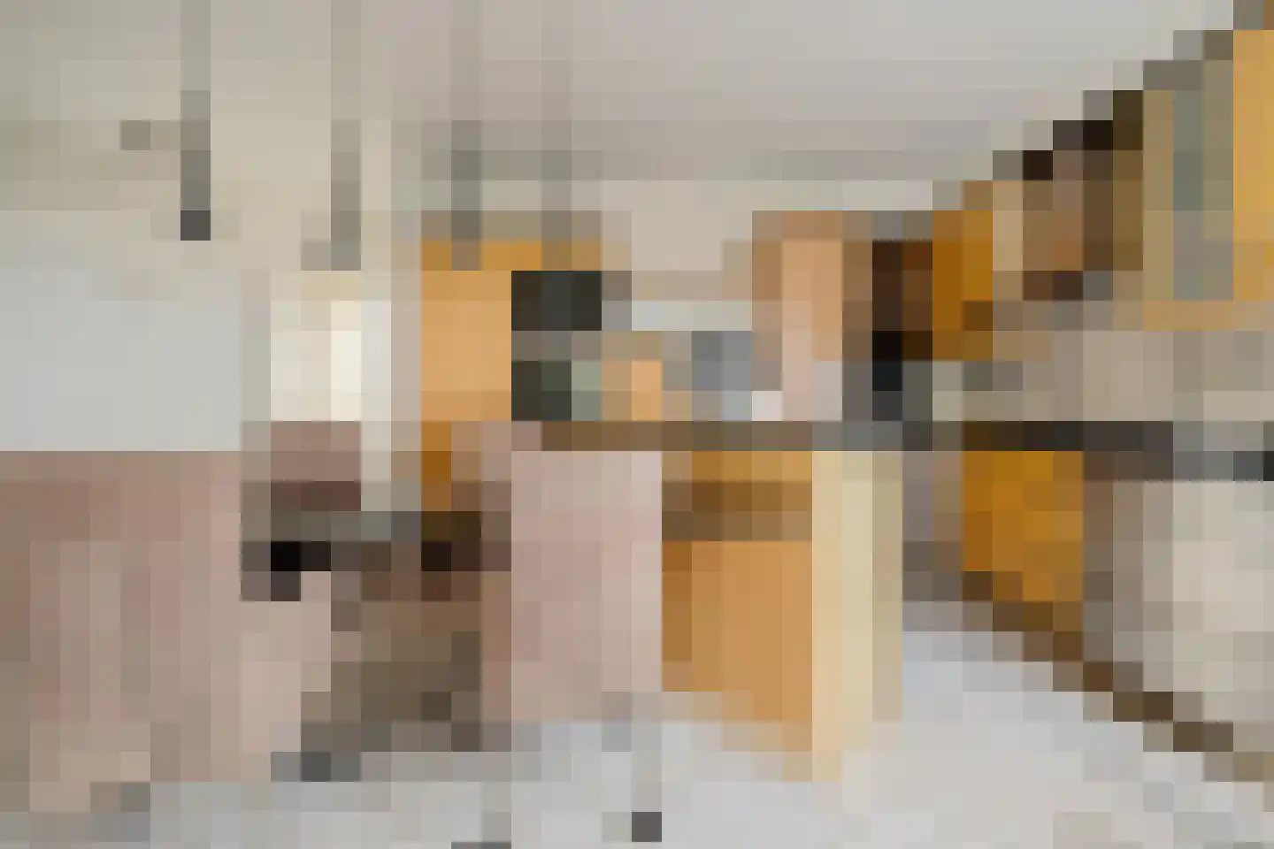 Molenaarshof 8 Nieuw-Dordrecht thumbnail 7