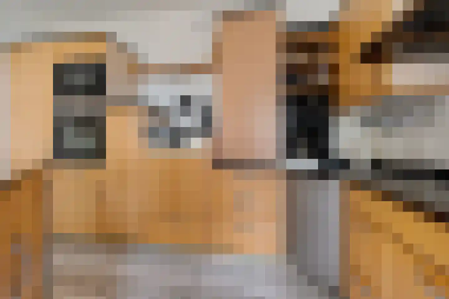 Molenaarshof 8 Nieuw-Dordrecht thumbnail 9
