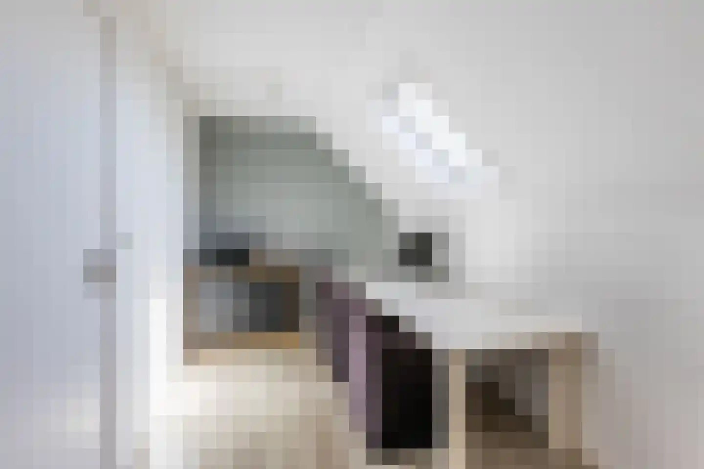 Molenaarslaan 1 Nieuw-Schoonebeek thumbnail 31
