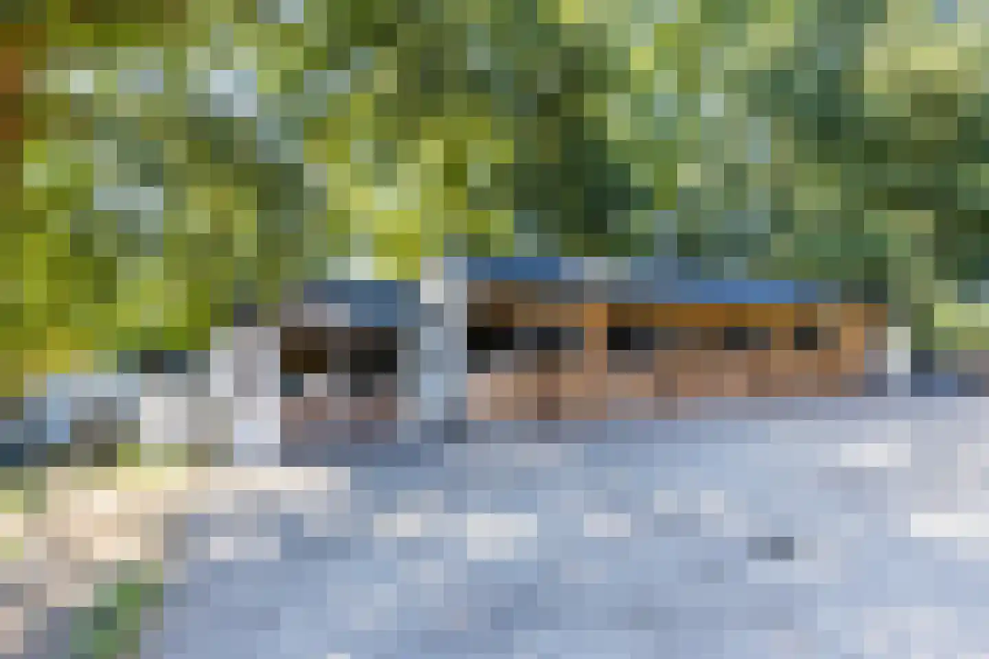 Molenaarslaan 1 Nieuw-Schoonebeek thumbnail 33