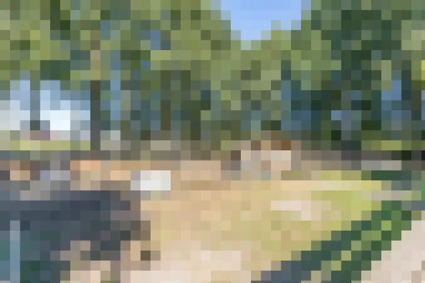 Molenaarslaan 1 Nieuw-Schoonebeek thumbnail 35