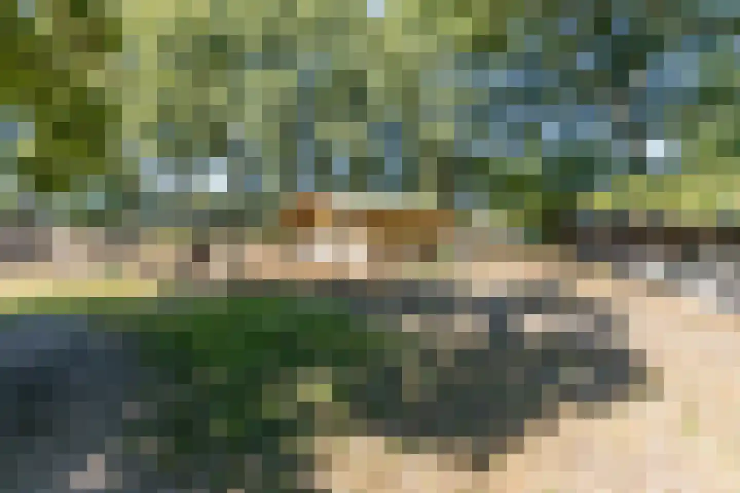 Molenaarslaan 1 Nieuw-Schoonebeek thumbnail 36