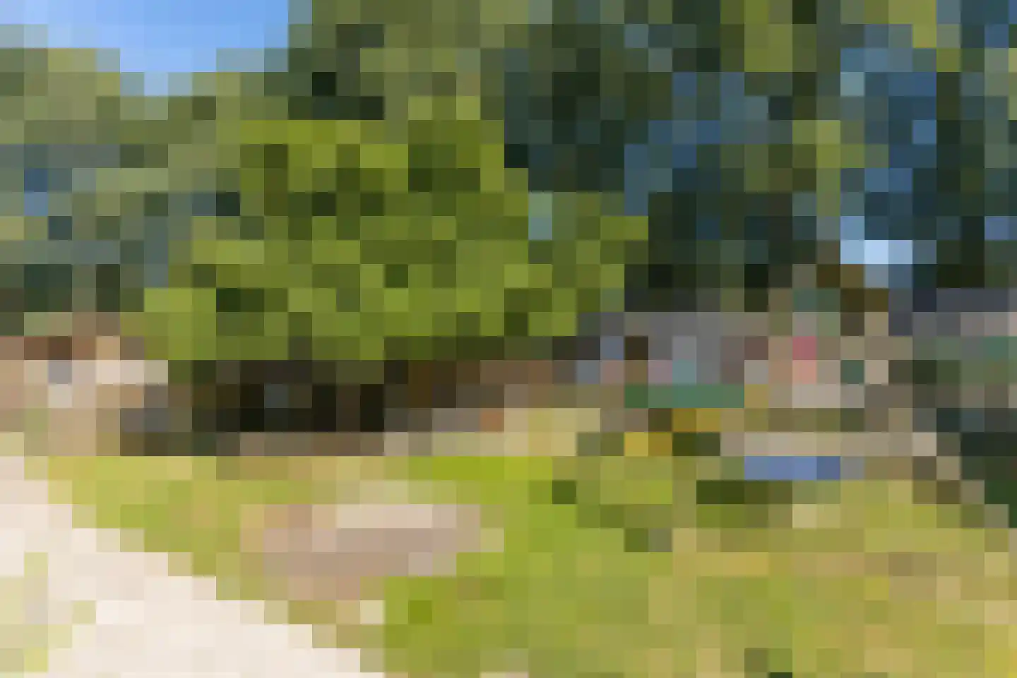 Molenaarslaan 1 Nieuw-Schoonebeek thumbnail 37