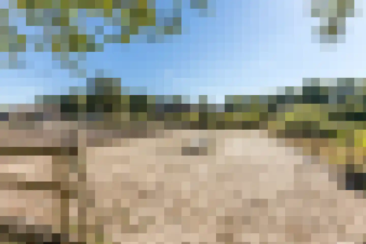 Molenaarslaan 1 Nieuw-Schoonebeek thumbnail 38