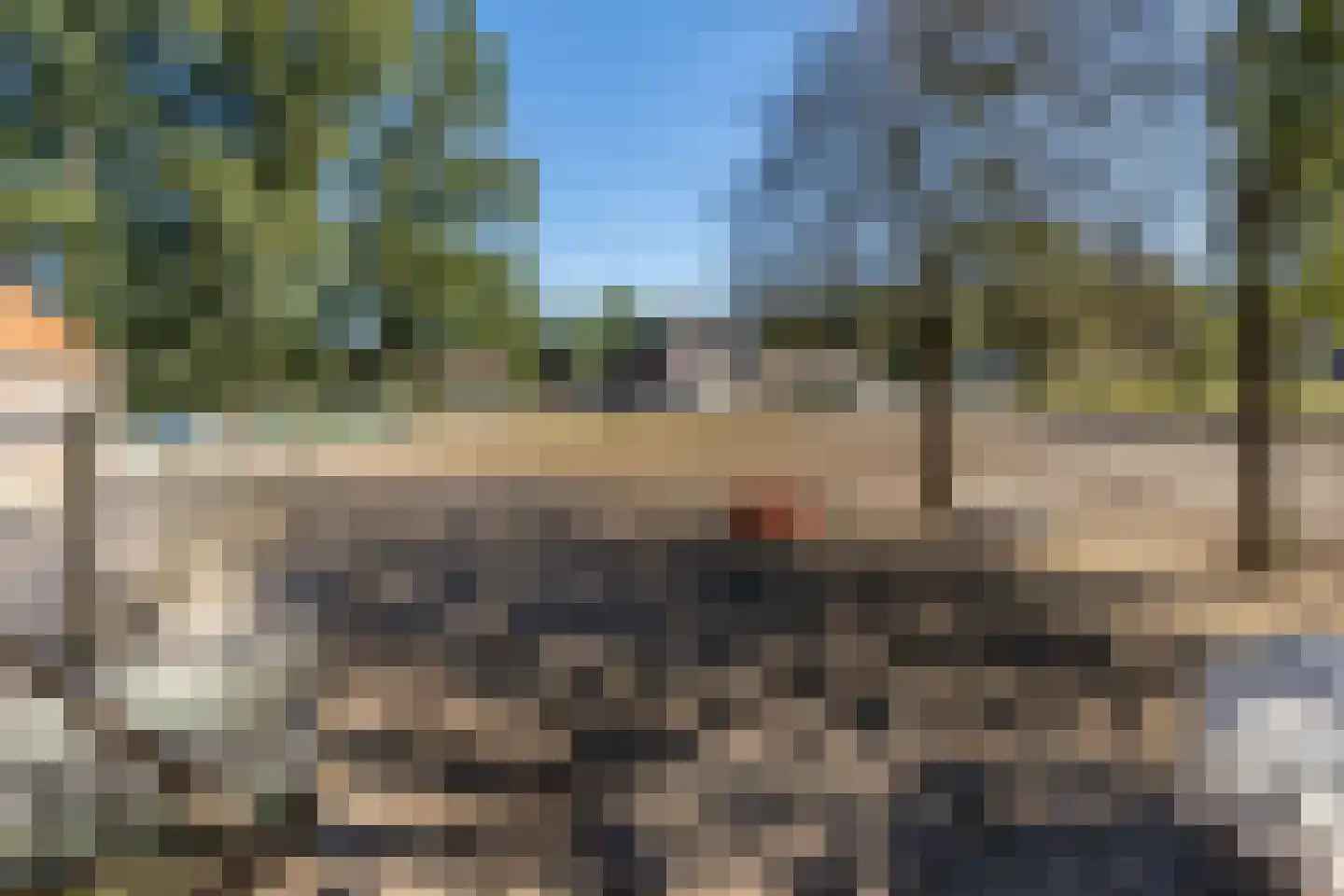 Molenaarslaan 1 Nieuw-Schoonebeek thumbnail 39