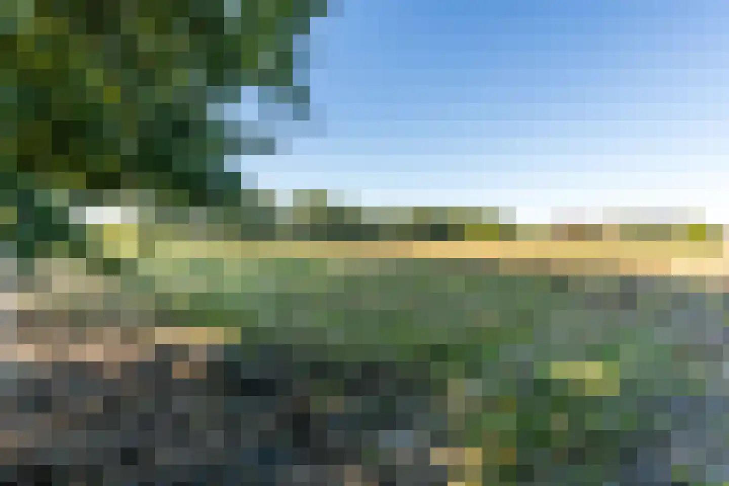 Molenaarslaan 1 Nieuw-Schoonebeek thumbnail 40