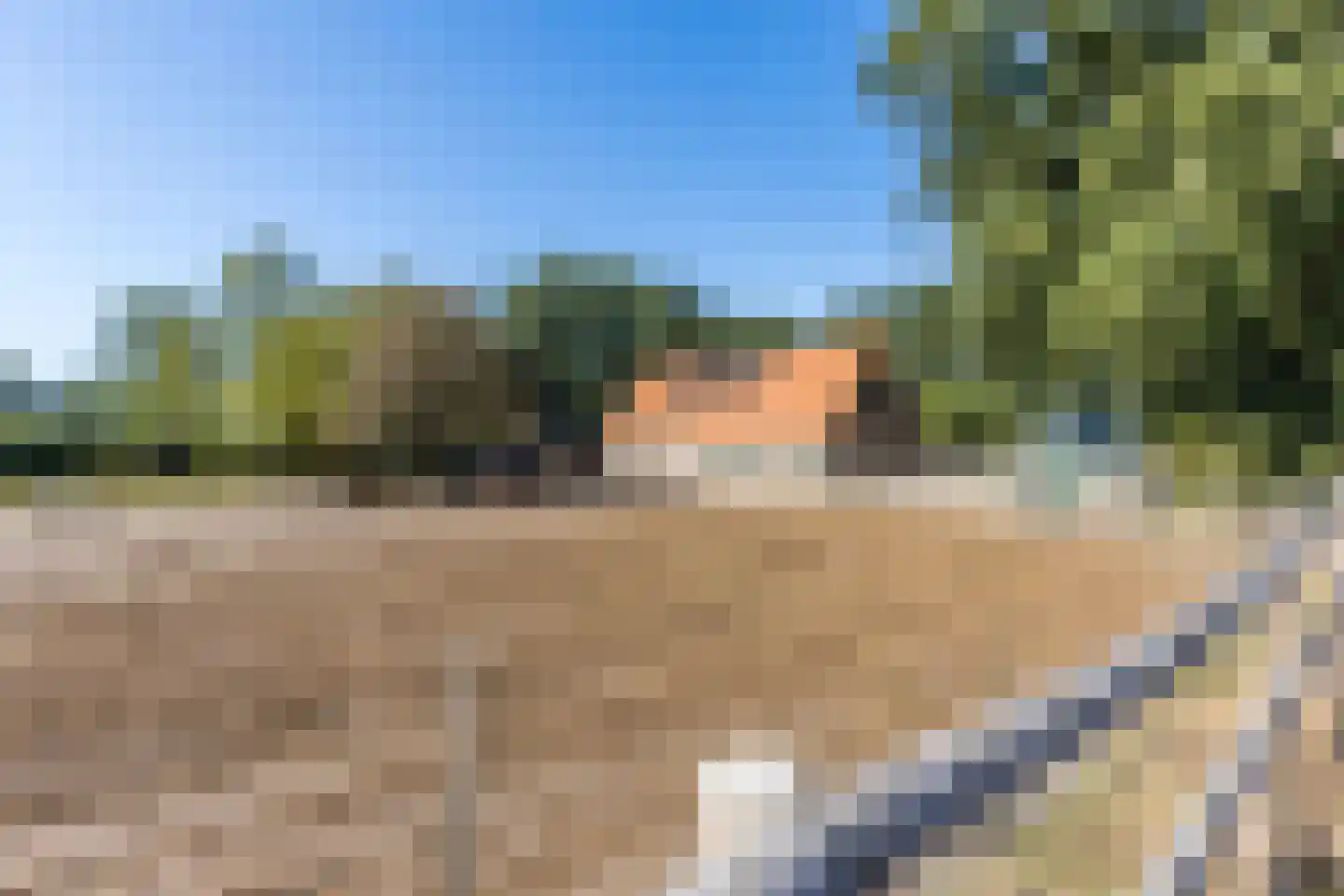 Molenaarslaan 1 Nieuw-Schoonebeek thumbnail 42