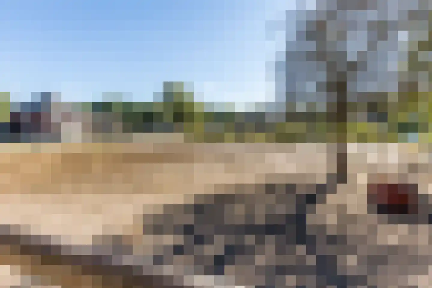 Molenaarslaan 1 Nieuw-Schoonebeek thumbnail 44