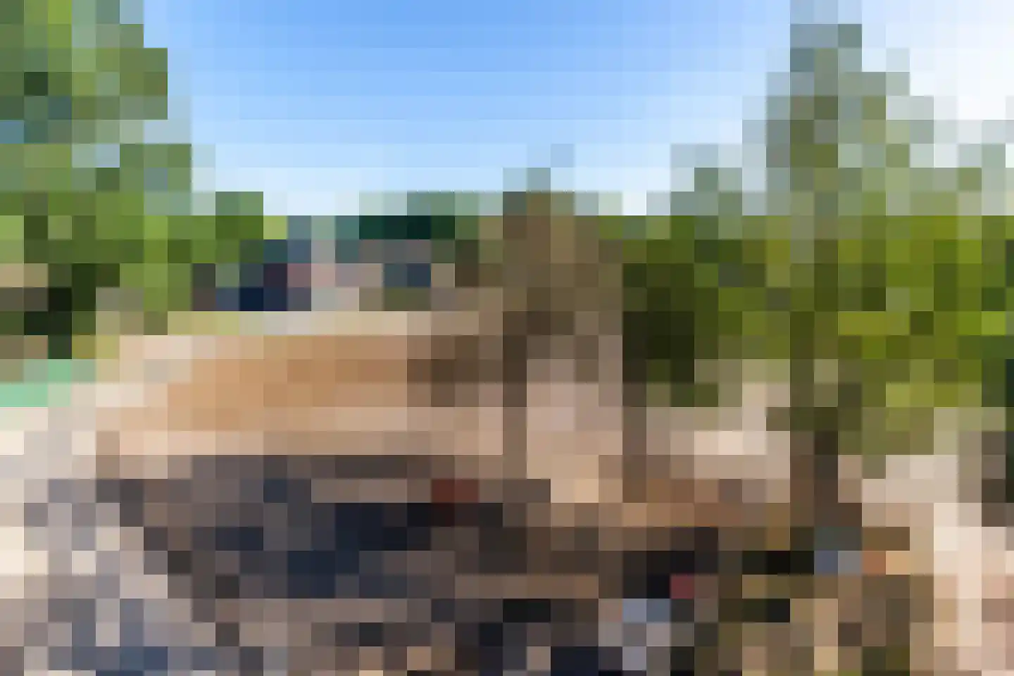Molenaarslaan 1 Nieuw-Schoonebeek thumbnail 46