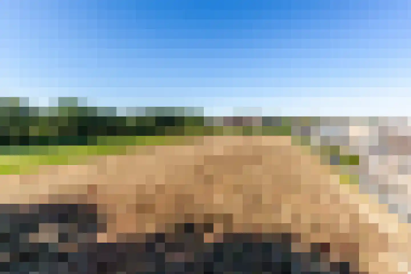Molenaarslaan 1 Nieuw-Schoonebeek thumbnail 47