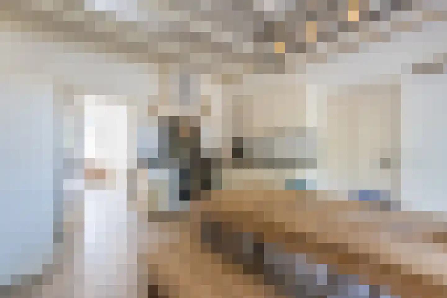 Molenaarslaan 1 Nieuw-Schoonebeek thumbnail 7