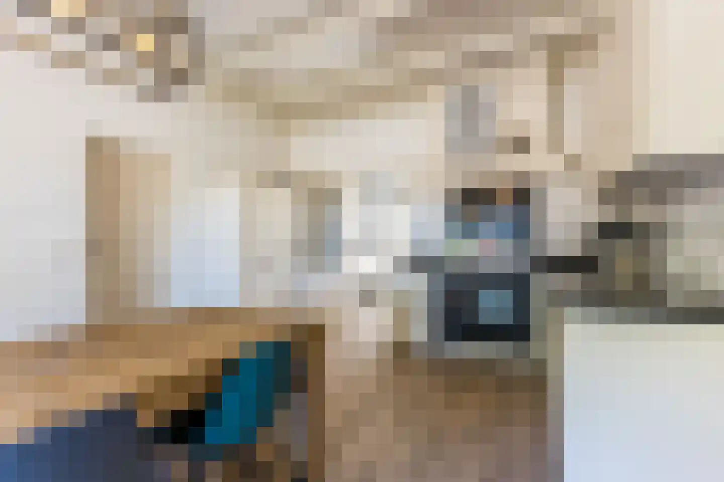 Molenaarslaan 1 Nieuw-Schoonebeek thumbnail 8