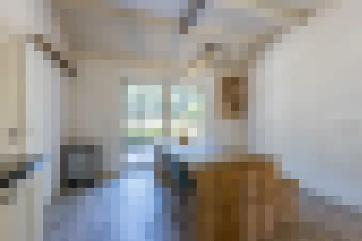 Molenaarslaan 1 Nieuw-Schoonebeek thumbnail 9
