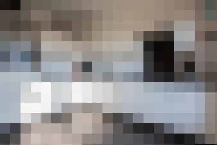 Molenaarslaan 22 Heythuysen thumbnail 4