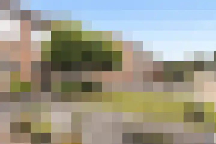 Molenaarslaan 22 Nieuw-Schoonebeek thumbnail 11