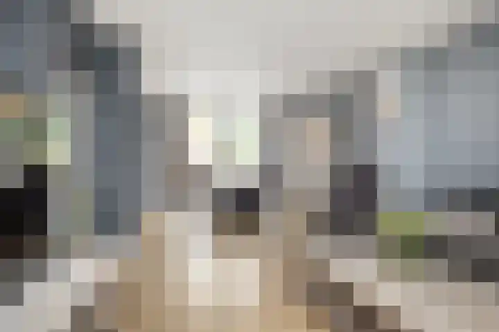 Molenaarslaan 22 Nieuw-Schoonebeek thumbnail 13
