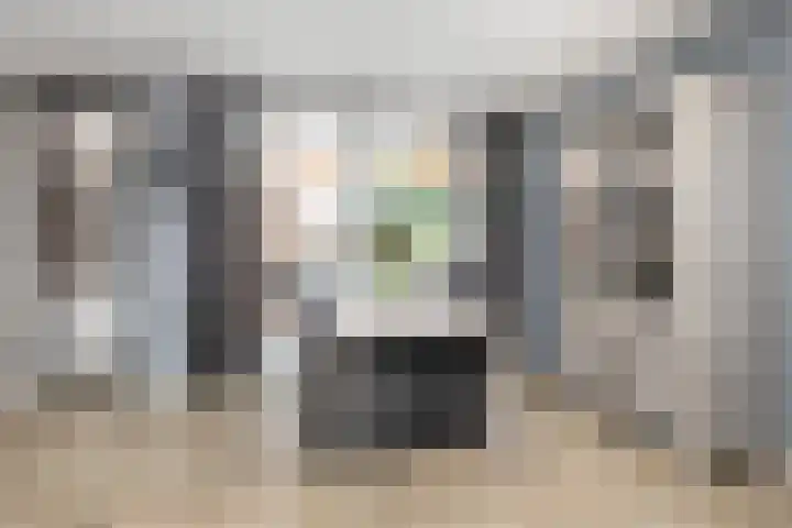 Molenaarslaan 22 Nieuw-Schoonebeek thumbnail 17