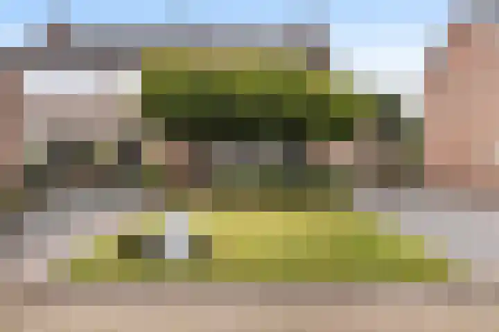 Molenaarslaan 22 Nieuw-Schoonebeek thumbnail 36