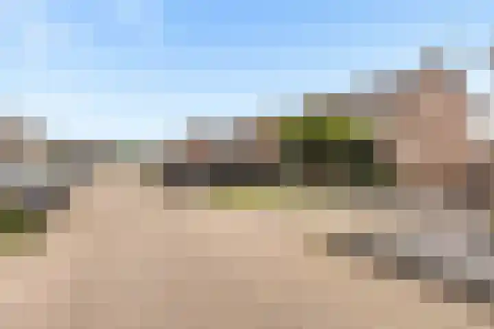 Molenaarslaan 22 Nieuw-Schoonebeek thumbnail 37