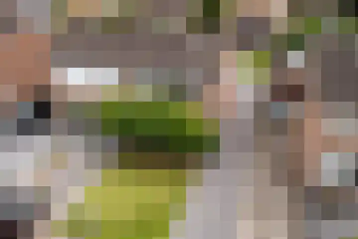 Molenaarslaan 22 Nieuw-Schoonebeek thumbnail 38