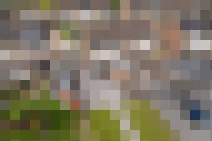 Molenaarslaan 22 Nieuw-Schoonebeek thumbnail 39