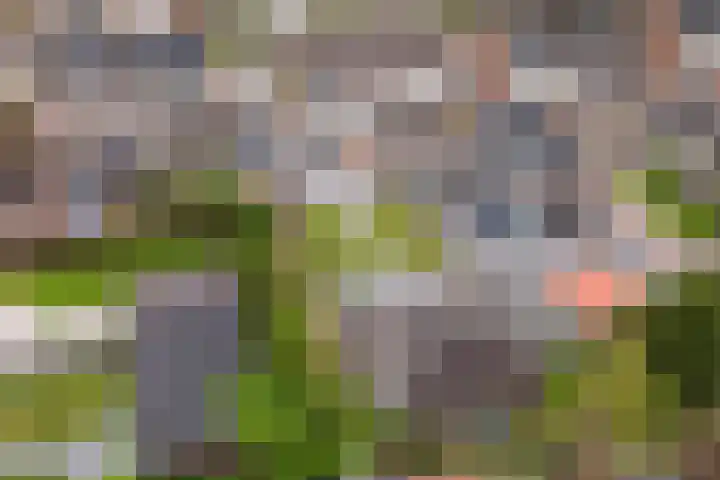 Molenaarslaan 22 Nieuw-Schoonebeek thumbnail 40